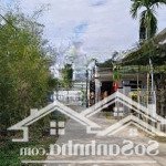 đất trung tâm thủy phương, đường qh 12m, giá chỉ 890 triệu