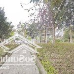 Lk kđt vân canh hoài đức 169m2 19.5tỷ - vành đai 3.5 giá ven đô