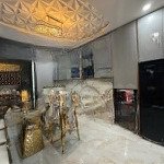 Nhà đẹp 3 tầng full nội thất cao cấp bàu tràm 3, khuê trung, cẩm lệ