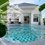 Bán biệt thự bãi sau vũng tàu - khu đồi ngọc tước 1 - p. thắng tam - s=396m2 bhr 2 tầng - giá 33 tỷ