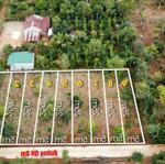 Ea drong-buôn hồ-đắk lắk vị trí đắc địa đường bê tông quy hoạch 8m khu dân cư bàn cờ thông tứ hướng sẵn