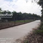 Bán đất x. phú hữu, nhơn trạch, đn 509m2 có 300m2 thổ