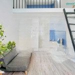 Phòng xinh hạt dẻ ngay tân thuận tây cho các người đẹp đây ạ