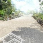 Bán đất tại an nhơn, châu thành, đồng tháp, 9,5 tỷ, 8250 m2 giá tốt