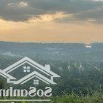 Cơ hội đầu tư đất nền đầu vào bảo lộc đón sóng hạ tầng!