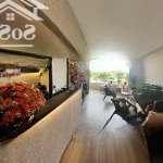 Cần bán căn hộ officetel pegasuite 2 p6 q8