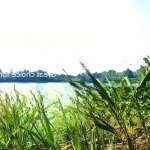 Hồ tây thu nhỏ, đất bám hồ đẹp nhất hoà lạc sẵn sổ hồng công chứng, chủ cần bán 3400m2 - 500m2 tc