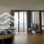 Cho thuê căn hộ 2pn 2wc view hồ chung cư vinhomes skylake