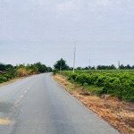 Bán gấp mặt tiền trục đường chính núi bà tây ninh, 26x40 lh 0985901718. chính chủ
