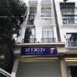 Cho thuê nhà mặt phố kim ngưu, dt 75m2 x 7 tầng, mt 5m, nhà mới, thông sàn, thang máy, vị trí đẹp