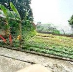 đất phường phúc thắng - thành phố phúc yên - vĩnh phúc đất ở tại đô thị cách hồ điều hòa 200m