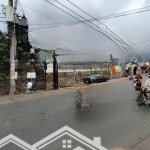 Bán đất đẹp tại đình phong phú, tăng nhơn phú b, quận 9, hcm, 8,9 tỷ, 100 m2