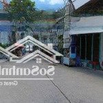 Bán nhà lạc long quân - đối diện chợ hoa đầm sen - 5,5x13m - 5, x tỷ