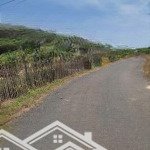Cần bán 3000m2 có nhà và vườn cây ăn trái xã phước tân xuyên mộc có 75m mặt tiền đường nhựa
