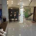 Bds hvl nc- cho thuê căn góc riovista full nt, plb q9