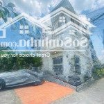Bán biệt thự mini - cổ điển - huỳnh tấn phát - quận 7