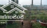 Bán lô đất 6,362m2, đường nguyễn thị ly, hóc môn, giá 60 tỷ
