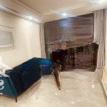 Cho thuê căn hộ 2pn đủ nội thất tại sunshine green iconic, long biên