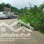 Bán lô đất trục chính thôn mai chữ xã đông nam tp thanh hoá, 8 triệu/m2