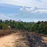 đất nền tại đan phượng, lâm hà, lâm đồng, 399 triệu, gần 500m2 sẵn thổ