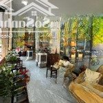 Bán tòa vp mặt phố nguyễn khang - kinh doanh bất chấp - dt 70/83m2 x 8 tầng - mt 12.5m, giá 39.5 tỷ
