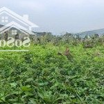 đất fo của nhà dân cắt bán giá nhỉnh 3tr/1m diện tích khoảng 4000m đất trích lục thổ cư và vườn
đị