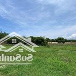 Bán đất cam hiệp nam, đất sào hợp thổ, đường ô tô đẹp