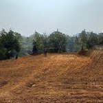 Chủ gửi bán lô đất tại xã cao sơn, huyện lương sơn, tỉnh hoà bình