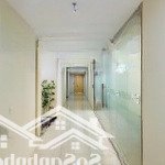 Sàn thương mại cầu giấy, 1000m, lô góc 24 văn phòng , ô tô, dòng tiền khủng, giá 71 tỷ (hcg5080256)