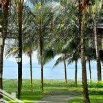 Cho thuê nhà đất mặt tiền đường nguyễn thiện thuật nha trang