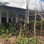 Cần vốn gấp bán nhà xây tâm huyết, mặt tiền đường, tiền sông đường vành đai 3, hóc môn!