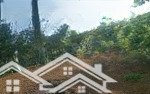 Ba vì. dt 430m. mặt 10m. bám trục chính liên thôn. giá cả hợp lý. 0988908583