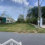 Bán gấp đất 130m2 mtđ nguyễn trọng cát, trảng bàng, tây ninh,shr, 320tr.