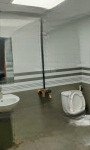 Bán gấp nhà riêng vạn phúc, thanh trì, hà nội giá siêu hời