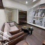Cho thuê biệt thự cao cấp khu mỹ giang phú mỹ hưng q7
