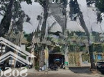 Ngộp bank - bán gấp nhà mặt tiền võ văn tần, p.5. (dt: 5x14m)- 6 tầng+ thang máy.