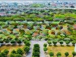 Bán đất nền dự án phố nối house, 4,5 tỷ, 65m2, mặt tiền 5m, ngõ 12m ở nghĩa hiệp, hưng yên