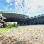 Cho thuê mặt bằng và xưởng 6000m2 phường phước tân, biên hòa, giá 55tr/tháng. lh 0906694959