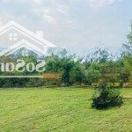 Cắt lỗ 500 triệu lô đất sát ga của tuyến metro số 5, cách đại lộ thăng long 1km cạnh xanh villas