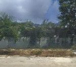 Bán lô đất 5*19 ( 95m2 ) shr, tân an hội, củ chi. giá 1,5 tỷ