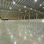 Cho thuê nhà xưởng mới xây dựng diện tích 3.600m² - 7.350m² ở phước hòa, phú giáo, bình dương.