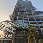 Bán toà buillding xây mới 186m, 8tầng, mt15m, 150 tỷ - trần thái tông, cầu giấy, lô góc 3 thoáng.