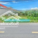 Chủ cần tiền đầu tư, cần bán nhanh lô đất mặt tiền đường tân thông hội, dt 175m2 (full thổ)