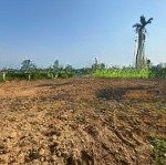 Bán đất tại xã hòa liên, hòa vang, đà nẵng, 1 tỷ, 207m2, pháp lý đầy đủ