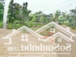 Bán đất sào sổ riêng, mặt tiền bê tông, ngang 20m, xã sông thao, trảng bom