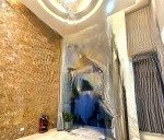 Bán gấp nhà trần kế xương ngay công viên phú nhuận 208m chỉ còn 36 tỷ