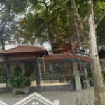 Tôi cần bán biệt thự kđt bắc linh đàm 232m2