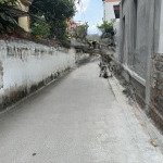 Cần bán gấp mảnh đất đẹp đường thông ô tô tại trung tâm phường giang biên, long biên