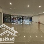 Tòa nhà nguyễn khang 150m2 xây 8 nổi 1 hầm, mặt tiền 10m, mới toanh vừa hoàn thiện, pccc chuẩn