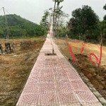 Bán đất tại đường hồ chí minh, xã thạch quảng, thạch thành, thanh hóa, giá siêu hời